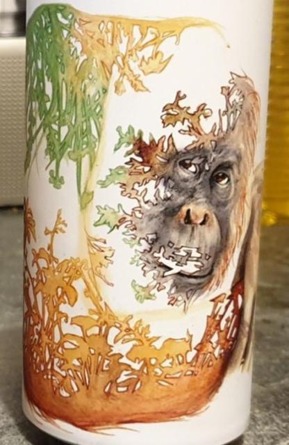 Satsumatra 4.0%, Twisted Barrel Ale Limited, England