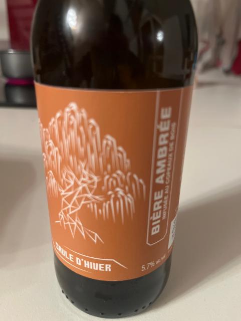 Saule d'hiver 5.7%, Microbrasserie Du Saule, France