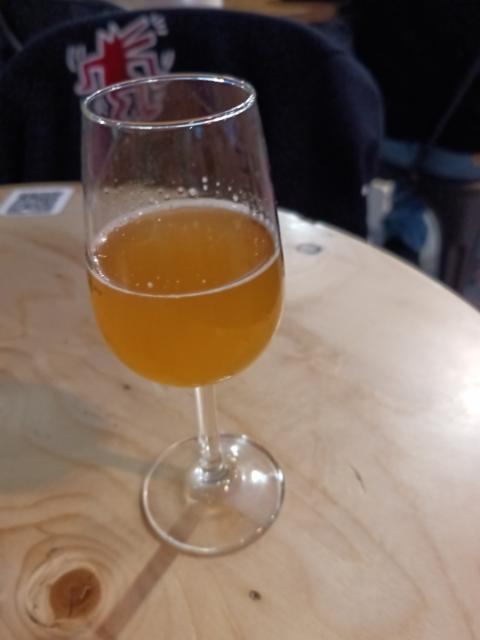 Sauvages - Abricot Assemblage 2022 6.0%, Brasserie Popihn, France