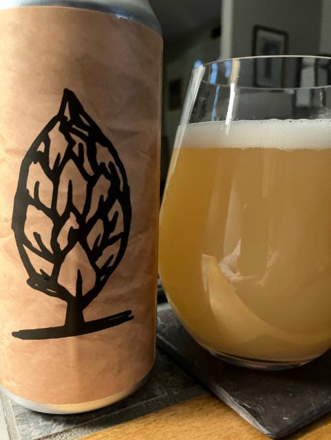 Save that Money 8.1%, Beer Tree Brew Co., United States