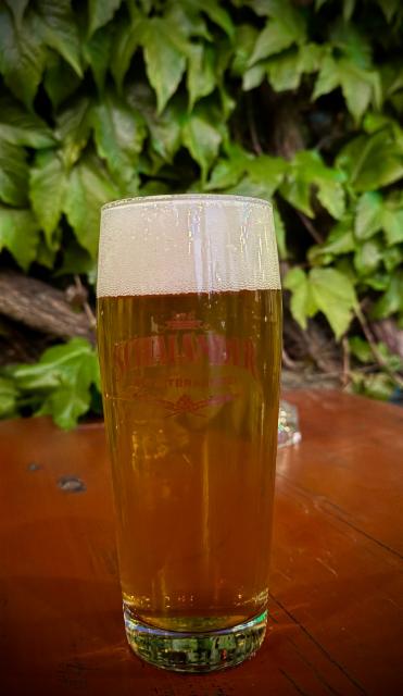 Schalander Maibock 7.0%, Schalander, Germany