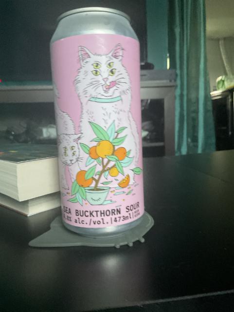 Sea Buckthorn Sour, Port Rexton