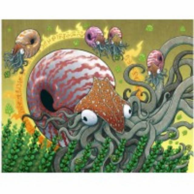 Sedna 4.0%, Brasserie Nautile, France