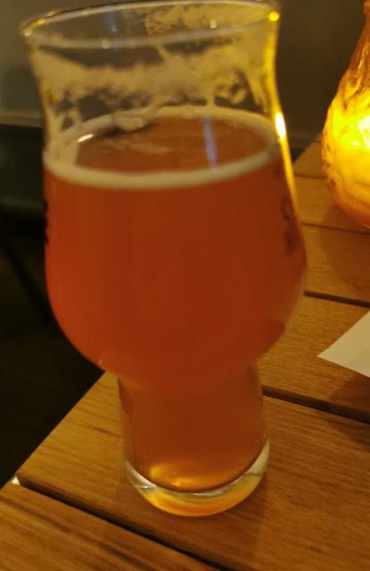 Sengi 3.8%, Wander Beyond Brewing, England