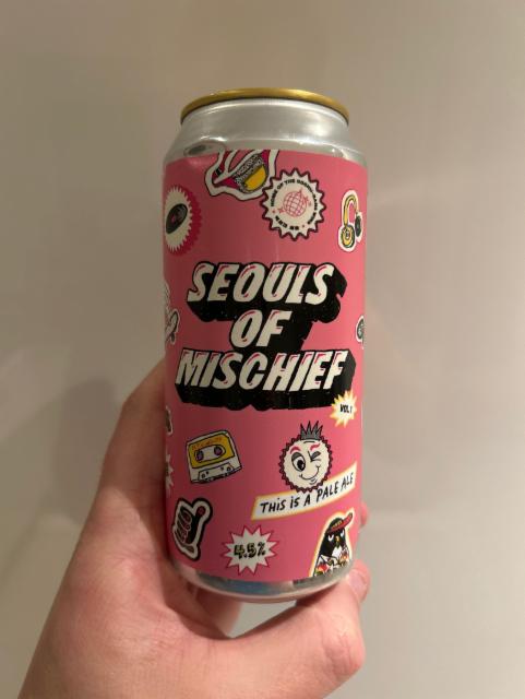 Seouls Of Mischief 4.5%, Pretty Decent Beer Co, England