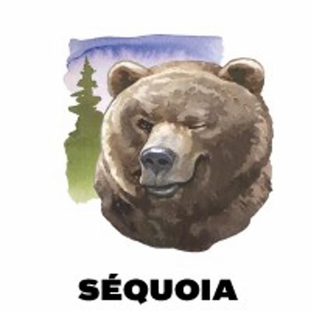 Séquoia 6.2%, Brasseur Vagabond, Canada