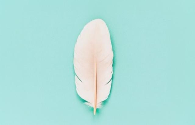 Session IPA DDH Krush / Citra / Mosaic 3.8%, Brasserie Popihn, France