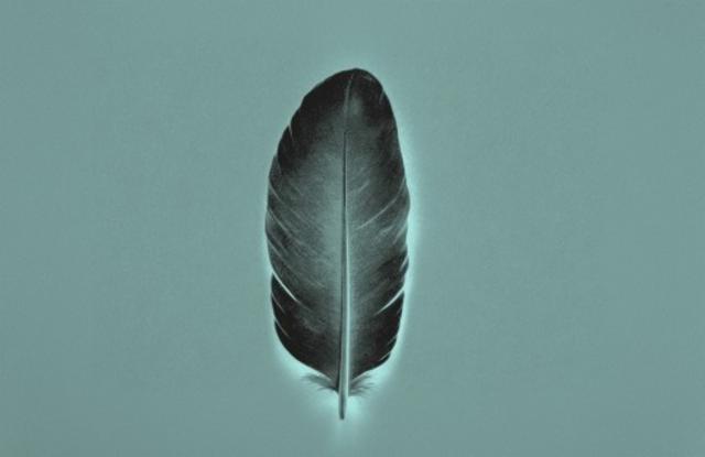 Session NEIPA DDH Mosaic / Citra / Simcoe 3.8%, Brasserie Popihn, France