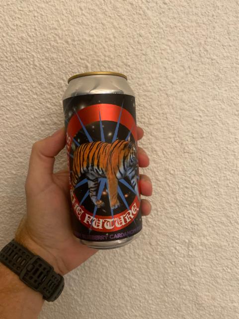 Shape The Future 5.0%, Elmeleven, Sweden