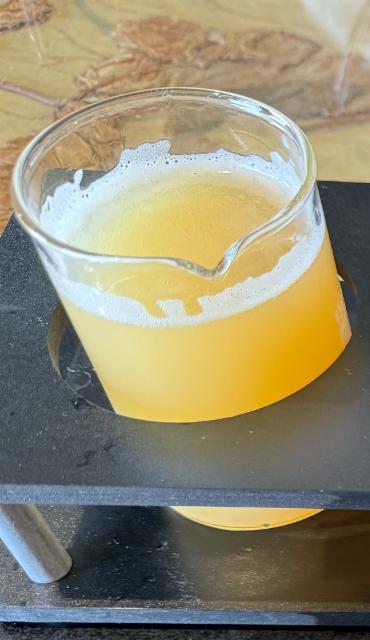 Shared horizon, Cerebral Brewing