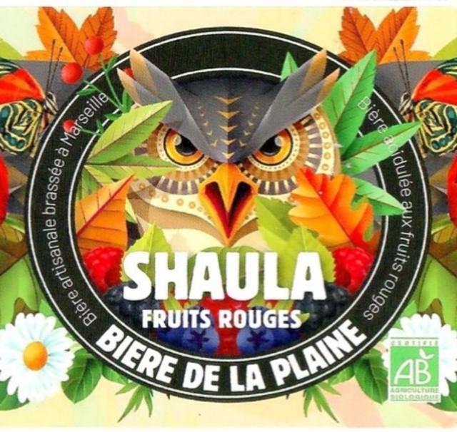 Shaula Fruits Rouges 5.9%, Bière De La Plaine, France