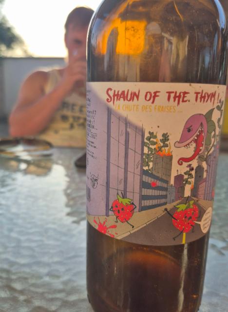 Shaun Of The Thym, Two Dudes
