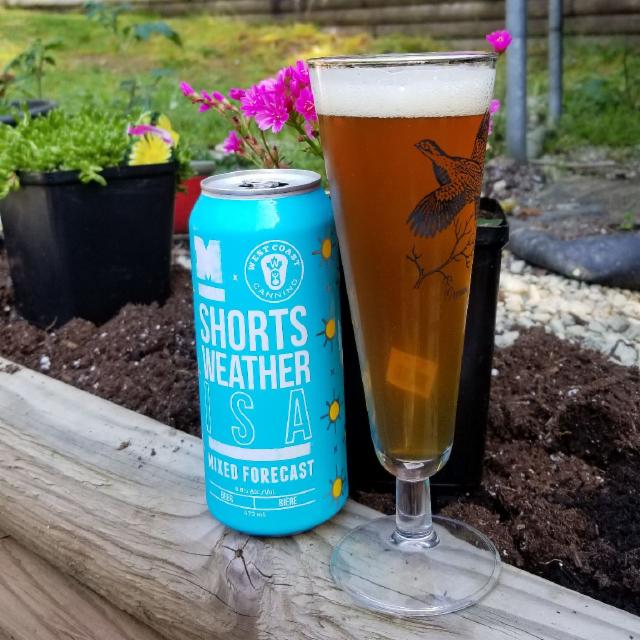 Shorts Weather ISA 4.8%, Moody Ales, Canada