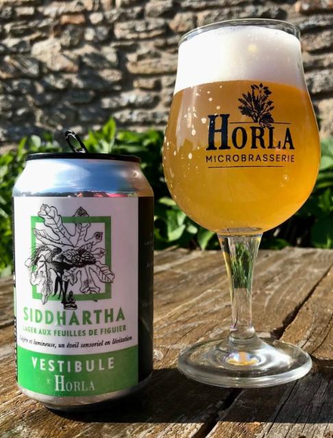 SIDDHARTHA, Vestibule