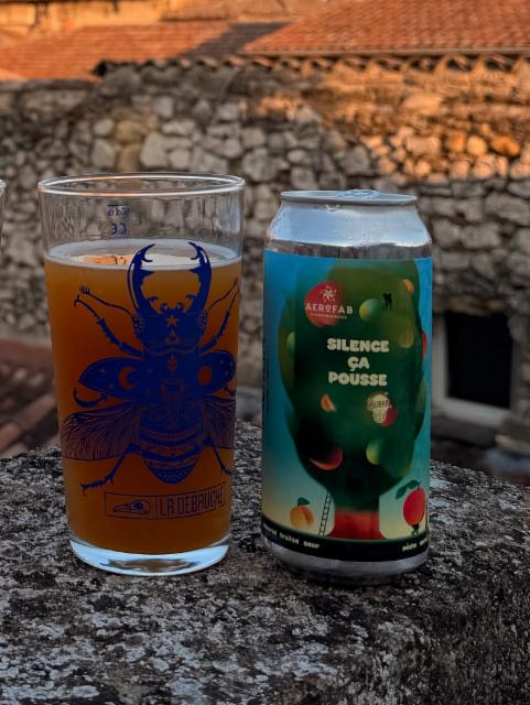 Silence ça pousse 8.0%, Merlin Brewing Company, France