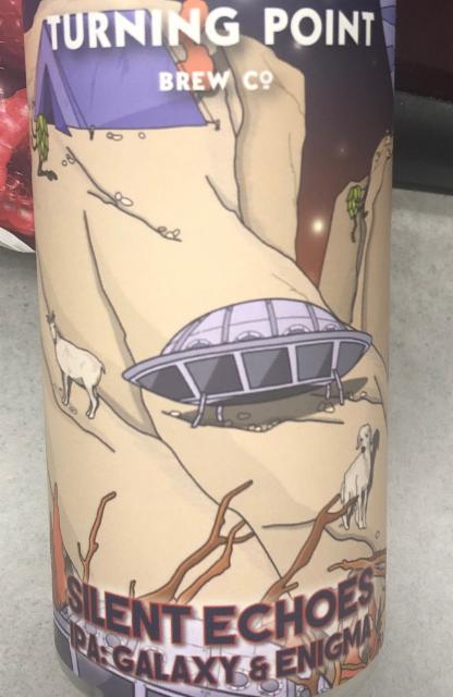 Silent Echoes 6.0%, Turning Point Brew Co., England