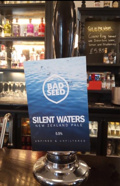 Silent Waters 5.5%, Bad Seed Brewery, England