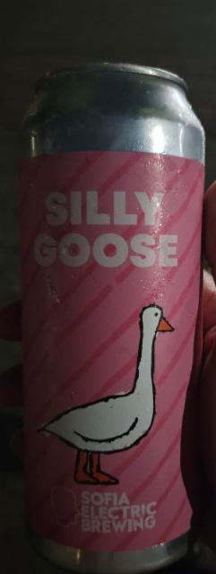 silly goose, Sofia Electric Brewing