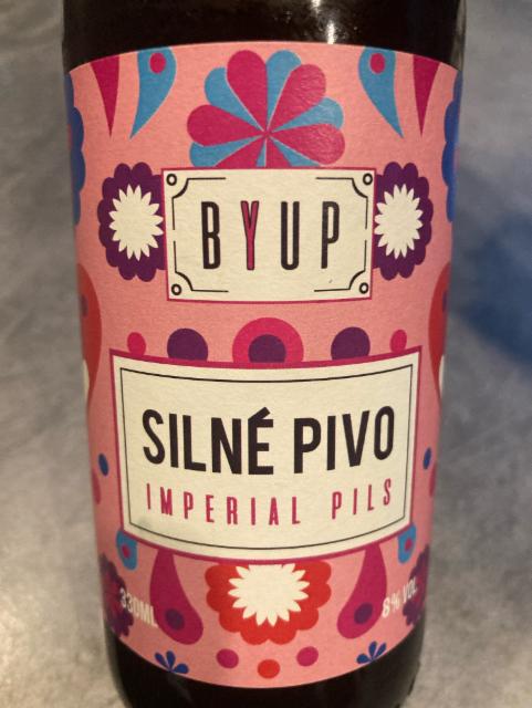 Silné Pivo 8.0%, Brasserie Sans Pression (BYUP), France
