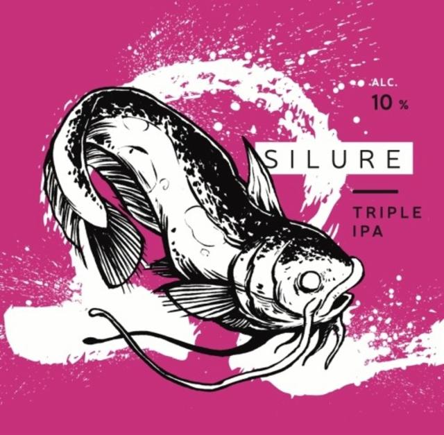 Silure, La Source Beer Co.