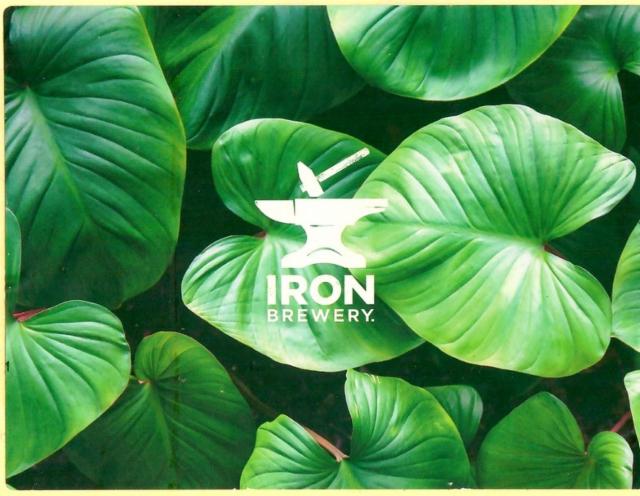 Simcoe DDH IPA 7.0%, Brasserie Iron, France