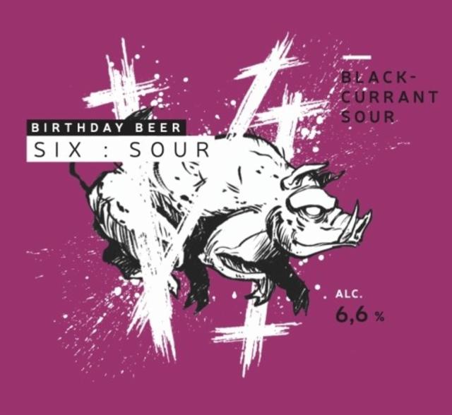 Six: Blackcurrant Sour 6.6%, La Source Beer Co., Belgium