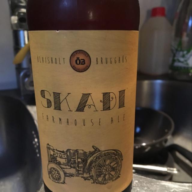 Skaði Farmhouse Ale 7.5%, Brugghús Steðja, Iceland