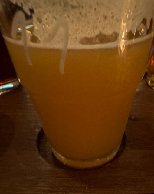 Skal Lite 4.4%, Gæðingur Öl Brugghús, Iceland