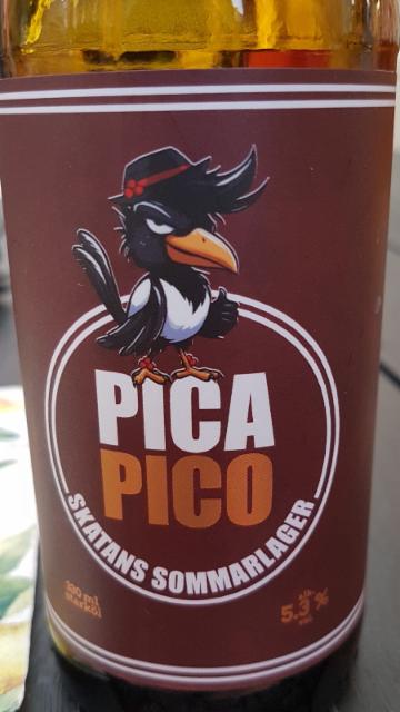 skatans sommarlager, Pica Pico