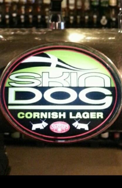 Skin Dog 4.4%, Skinner's Brewery, England