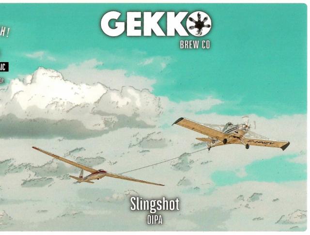 Slingshot 8.0%, Gekko Beers - Gekko Brewing Company, France