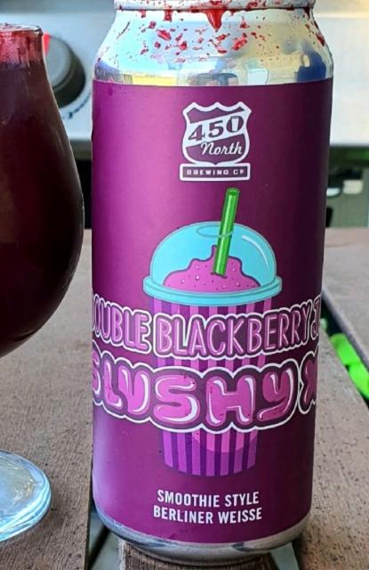 Slushy XL Double Blackberry Jam 5.8%, 450 North Brewing Company, United States