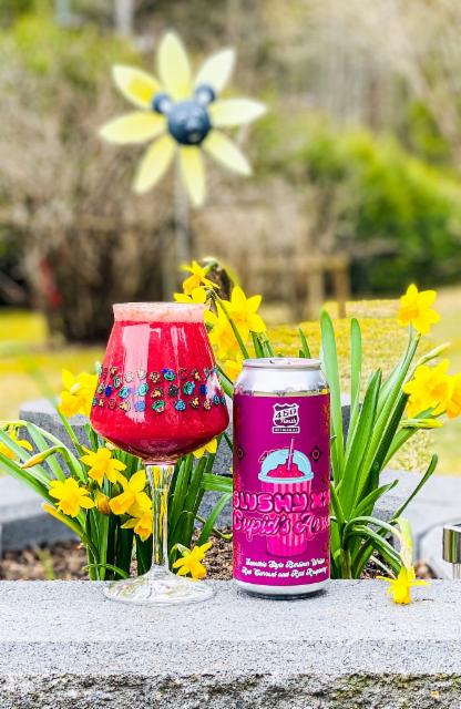 Slushy XXL Cupid's Arrow 6.0%, 450 North Brewing Company, United States