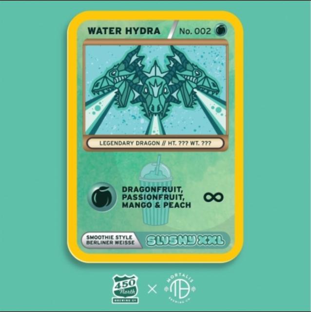 Slushy XXL Water Hydra 5.4%, 450 North Brewing Company, United States