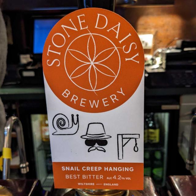 Snail Creep Hanging, Stone Daisy