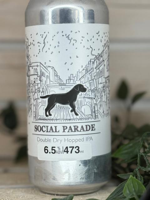 Social Parade, black lab