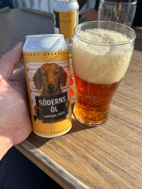 Söderns öl 6.2%, Brygghus 19, Sweden