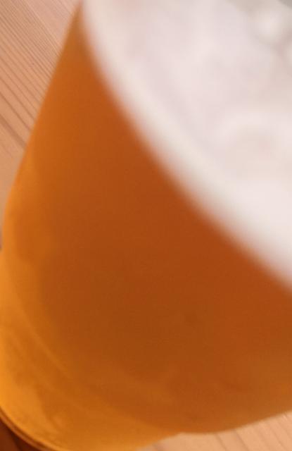 solnice 11, Pivovar Solnice