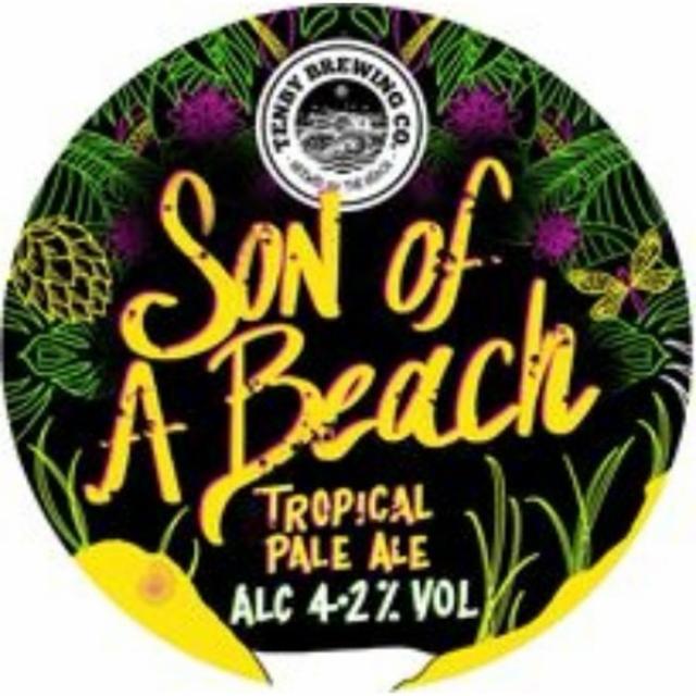 Son of A Beach, Tenby Brewing Co.