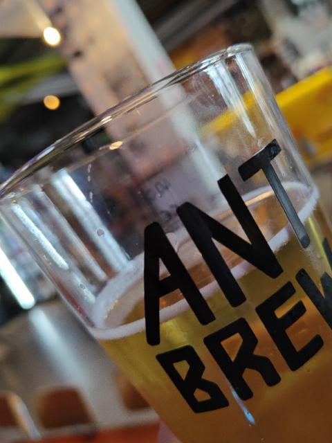 Soundi Lager 5.0%, Ant Brew, Finland