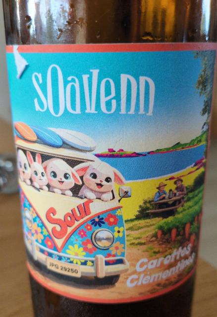 Sour, Brasserie Soavenn
