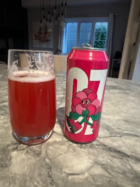 Sour aux framboises Farnham, Farnham Brewing Co Ltd