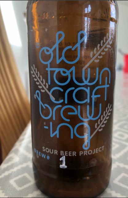 Sour Beer Project Brew#1: Wild Sour Beer 4.5%, Old Town, England