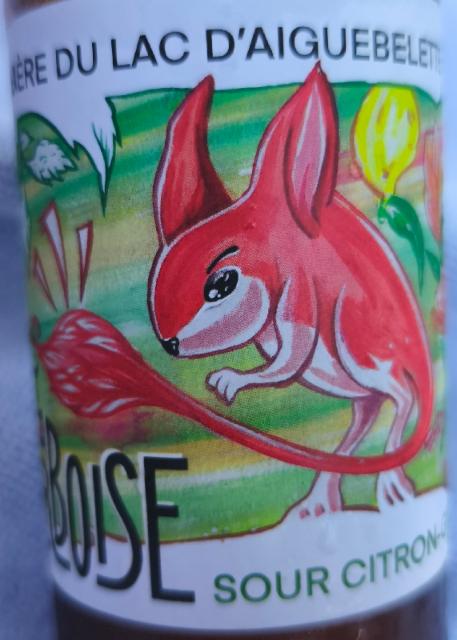 sour citron gingembre, La Gerboise