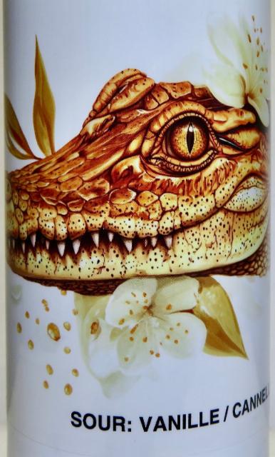 Sour Vanille Cannelle 4.5%, Rodil Microbrasserie, France