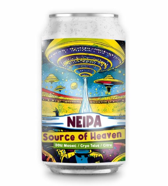 Source Of Heaven 5.3%, Boneless Brewing Co, France