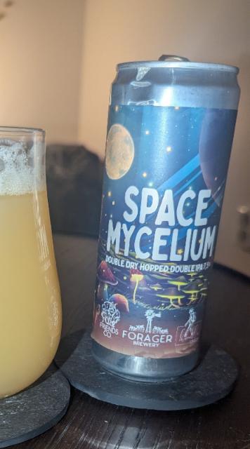 Space Mycelium DDH, Friends Company