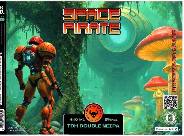 Space Pirate 8.0%, Game Over Brewing Co., France