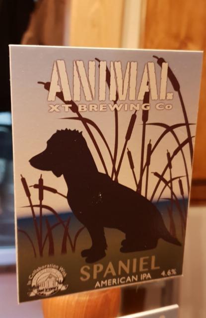 Spaniel 4.6%, Animal Brewing Co., England
