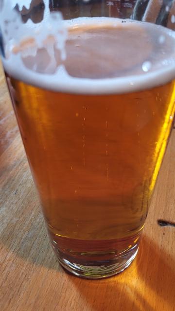 Specht Festbier, Privatbrauerei Specht Ehrenfriedersdorf